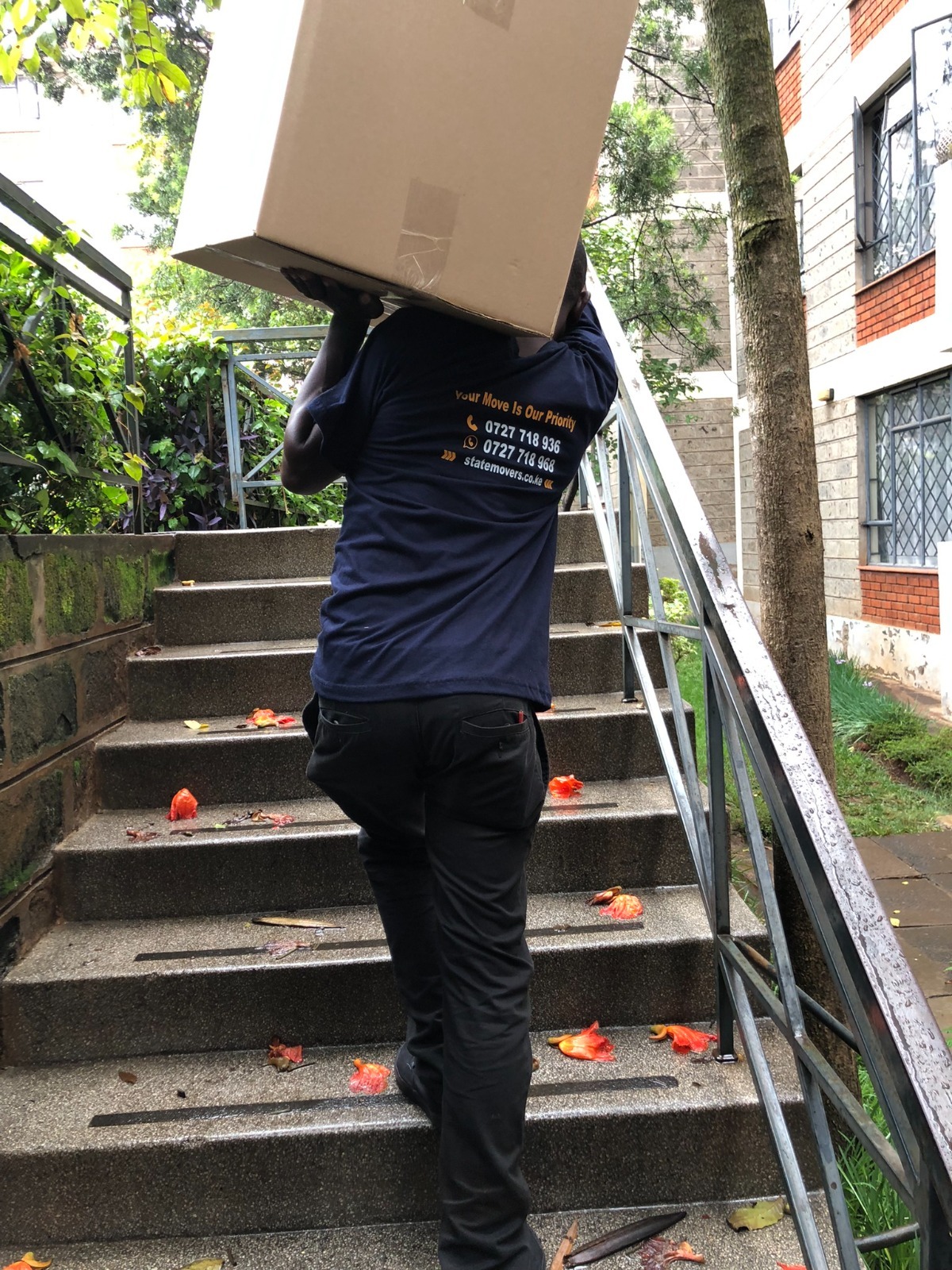 Team Moving Expert